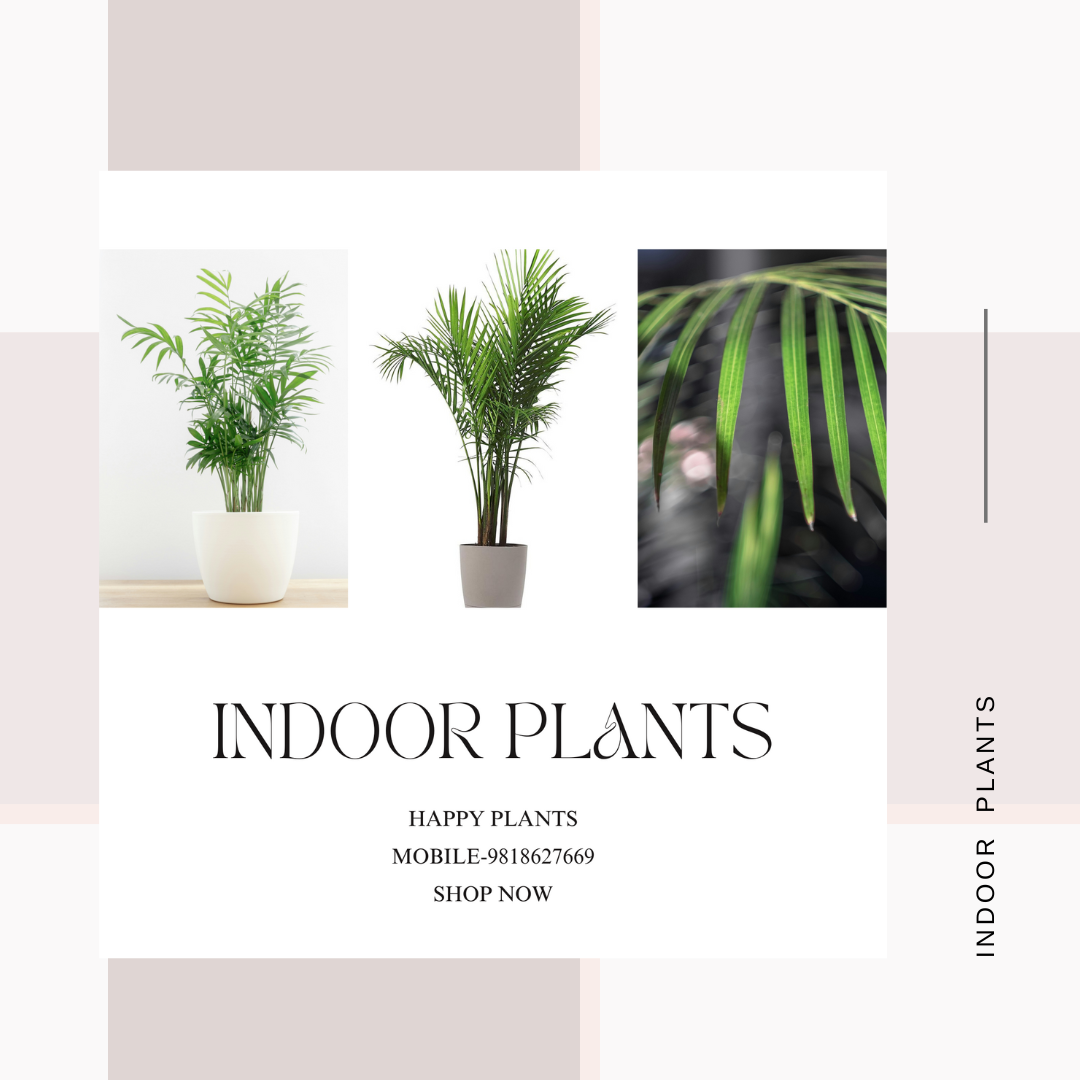 Plant Serenity